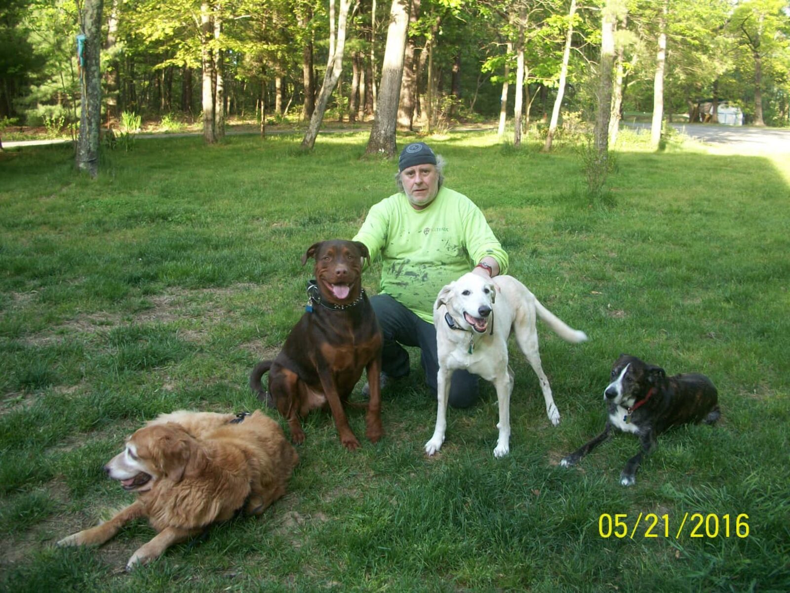 Tom outdoors in the Poconos with his dogs